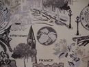 Paris day
